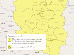 Желтый уровень опасности из-за погоды объявили в Воронежской области 