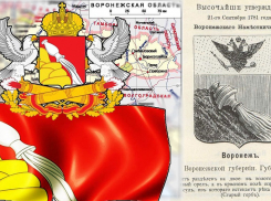 День региональных герба и флага отмечают в Воронежской области