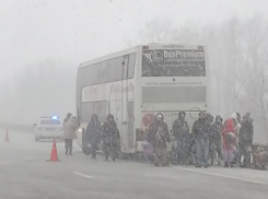 На заснеженной трассе в Воронежской области сотрудники ГИБДД помогли замерзающим пассажирам 