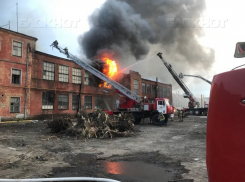 Сгорающий в пожаре экскаваторный завод в Воронеже сняли на видео