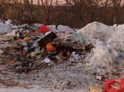 Результаты «бестарного сбора мусора» сфотографировали в Борисоглебске