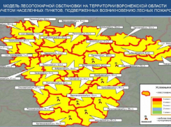 На всей территории Воронежской области установился III класс пожароопасности