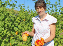 Жительница Терновского района вырастила на огороде тропические фрукты