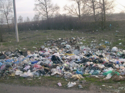 Завалы мусора на выезде из Новохоперска попали на фото