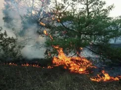 В 19 районах Воронежской области ввели чрезвычайный уровень пожарной опасности 