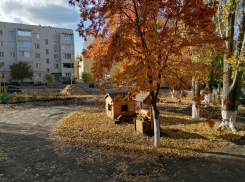 В детском садике №20 г. Борисоглебска – преображения 