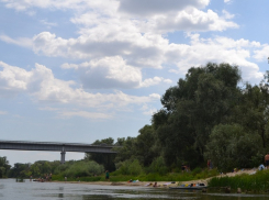 В реке на пляже в Новохоперске обнаружили холероподобные вибрионы