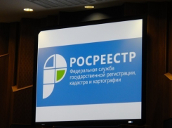 1 марта в Воронежской области пройдет Единый день консультаций Росреестра