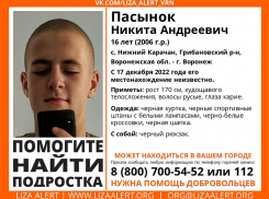 Объявлены поиски  16-летнего  подростка из Грибановского района 