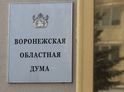 Воронежская область получит почти 225 млн. рублей на повышение зарплат бюджетников