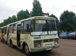 В Борисоглебске в день выборов маршрутные автобусы будут перевозить пассажиров бесплатно 