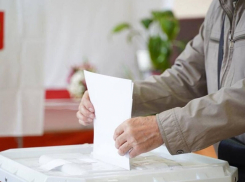 Стали известны результаты первого дня выборов в Воронежской области