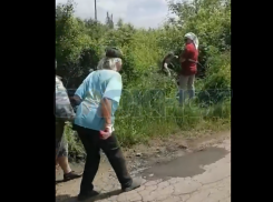 Жители пгт Грибановский Воронежской области показали чиновникам, как нужно работать