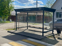 О замене остановочных павильонов в Борисоглебске рассказал Александр Леонов