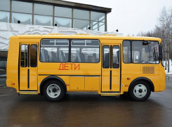 Дезинфекцию и термометрию в школьных автобусах  поручено организовать главам районов Воронежской области