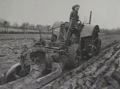 108 жительниц Терновского района в войну сели за штурвалы комбайнов