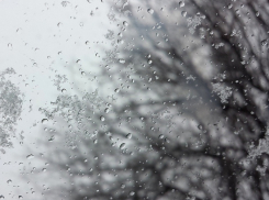 Снегодождь накроет Воронежскую область на фоне температурных качелей
