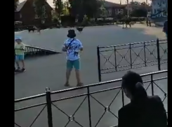  Стая бродячих собак разогнала детей с площадки в Театральном сквере Борисоглебска