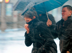 Спасатели предупредили о сильнейшем ветре в Борисоглебске