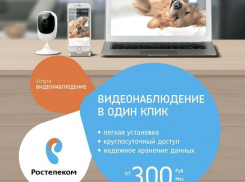 Домашнее видеонаблюдение от «Ростелекома» в один клик и по специальной цене – акция продлена до конца весны