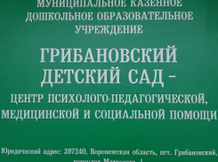 В Грибановском районе открылся Центр поддержки детей с особенностями развития