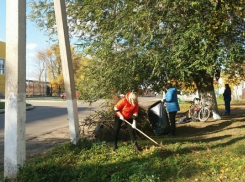 В Борисоглебске объявили месячник благоустройства