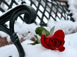 В Воронежской области свадебный бум в День всех влюблённых не состоялся