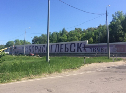 «Добро пожаловать в Борисоглебск!» - город встречает гостей новым баннером