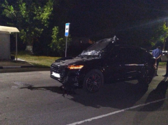 В Воронежской области с начала года в ДТП погибли 28 пешеходов