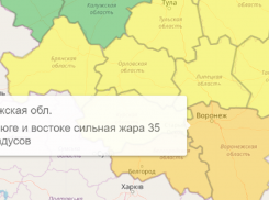 Оранжевый уровень опасности объявили в Воронежской области из-за очень высокой температуры