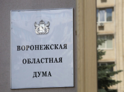 В Воронежской области запустили горячую линию для избирателей