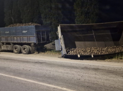 Иномарку сбило с дороги рассыпавшейся из перевернувшегося прицепа грузовика свеклой в Новохоперском районе