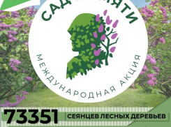 73 000 деревьев посадят в этом году в Воронежской области 