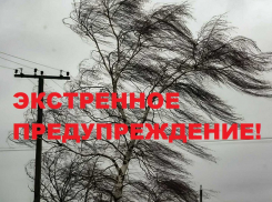 О резком ухудшении погоды в Воронежской области предупредили спасатели
