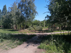 В Борисоглебске ради «благоустройства» уничтожили школьный сад