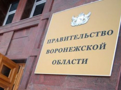 В Правительстве Воронежской области подвели итоги оценки эффективности развития муниципальных образований за 2016 год