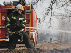«Пожарная опасность будет увеличиваться»: МЧС спрогнозировало обстановку в Воронежской области
