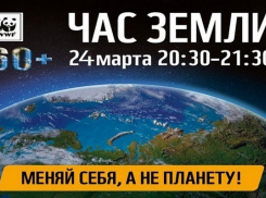 Жители Борисоглебска примут участие в экологической акции «Час Земли»