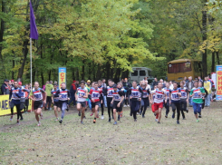 Под Борисоглебском прошли соревнования по легкоатлетическому кроссу памяти М. Е. Лобанова