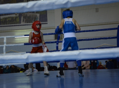 Грибановцы ударят боксом по наркотикам