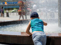 Штормовое предупреждение из-за аномальной жары вновь объявили в Воронежской области