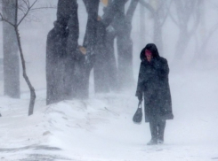 Оранжевый уровень опасности установился в Воронежской области из-за аномальных морозов и сильного ветра