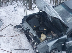 Автомобиль с пьяным водителем вылетел в кювет в Новохоперском районе