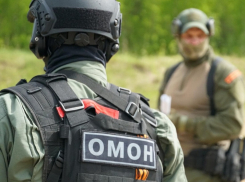 Очередную операцию по принуждению к порядку проводят в Терновском районе
