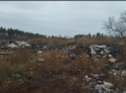 Свалку на площади в 5000 квадратных метров потребовал убрать прокурор Грибановского района 