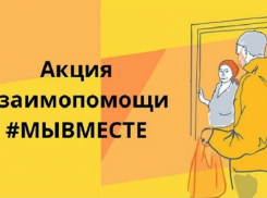 В Борисоглебске стартовала всероссийская волонтерская акция «Мы вместе»