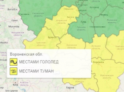 В Воронежской области ввели желтый уровень опасности из-за мокрого снега с туманом
