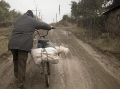 В Грибановском районе мужчина своровал 64 кг картошки и скрылся с награбленным в ночи на велосипеде