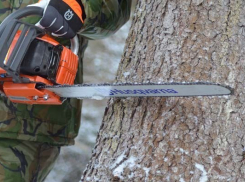 Поставка контрафактных бензопил в «Воронежский лесопожарный центр» закончилась уголовным делом