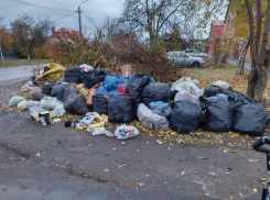 В Борисоглебске вводят «туристический налог»